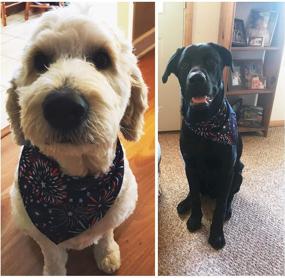 img 1 attached to 🐶 4th of July Dog Bandana for Small, Medium, Large Dogs & Cats - American Flag Design - Pack of 2 (Blue)