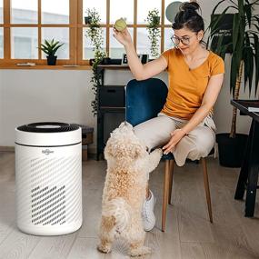 img 1 attached to 🌬️ isinlive Vortex V2 - HEPA Air Purifier for home up to 540 sq ft/50 sq m with PM2.5 Smart Sensor Air Quality Indicator, H13 True HEPA Air Purifier for Dust, Pet Dander, Pollen, Smoke, and Odor. Quiet Auto Mode, 22dB.