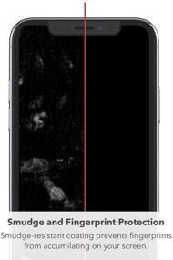 img 1 attached to 📱 ZAGG InvisibleShield Glass+ Screen Protector for iPhone 11 - Ultimate High-Definition Tempered Glass with Impact & Scratch Protection