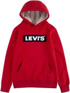 levis graphic pullover hoodie magnet boys' clothing logo