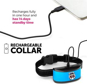 img 1 attached to Small Dog Bark Collar Rechargeable Dogs for Training & Behavior Aids