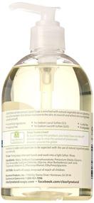 img 3 attached to Clearly Natural Glycerin Liquid Hand Soap, Unscented - Essentials, 12 fl oz, Pack of 3