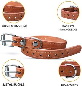 img 2 attached to TenCloud Pet Collar Set: 12 or 16 Adjustable ID Collars in Leather for Puppy & Breed Dogs