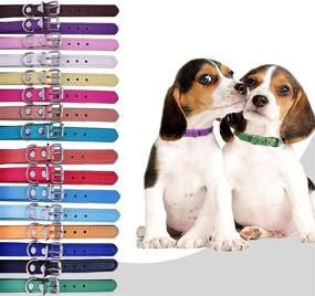 img 4 attached to TenCloud Pet Collar Set: 12 or 16 Adjustable ID Collars in Leather for Puppy & Breed Dogs