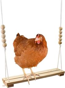 img 4 attached to Handmade USA Natural Wooden Chicken Swing Toy for Coop: Durable Perch Ladder for Poultry Run, Rooster Hens, Chicks, Parrots, Macaws - Entertainment & Stress Relief for Birds