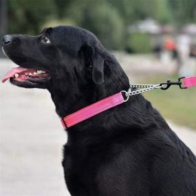 img 2 attached to 🐶 Adjustable Martingale Dog Collar with Reflective Nylon, Stainless Steel Chain Training Pet Choke Collar for Medium and Large Dogs - CollarDirect