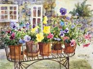 🎨 ledgebay paint by numbers for adults: complete number painting kit - fun diy adult arts and crafts project - beautiful ritas pansies design - 16" x 20" rolled canvas included logo