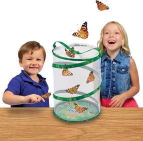 img 1 attached to 🦋 Insect Lore Butterfly Garden Habitat: A Captivating Enclosure for Observing Butterfly Metamorphosis