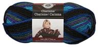 🧶 northern light loops & threads charisma yarn, 3.5 oz logo