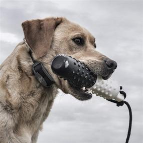 img 1 attached to Waterproof and Rechargeable SportDOG Brand FieldTrainer 425X/SportHunter 825 Add-A-Dog Collar with Tone, Vibration, and Static - Ideal for Replacement or Additional Remote Trainer Collar