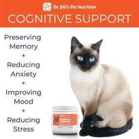 img 3 attached to 🐱 Enhance Your Feline's Memory with Dr. Bill's Cognitive Support Supplement - Featuring Gingko Biloba, L-Carnosine, Vitamin B-12, and More!