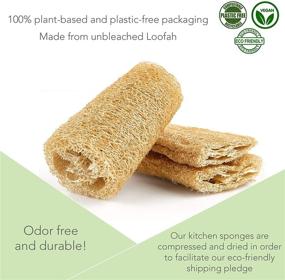 img 2 attached to 🌿 Eco-Friendly Natural Washing Up Dish Sponge: 100% Plant-Based Biodegradable, 3-Pack of Non-Odor Kitchen Sponges, Sustainable Unbleached Loofah, Plastic-Free Solution