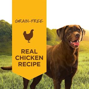 img 3 attached to Nourish Your Beloved Canine with Instinct Grain-Free Wet Dog Food: Original Recipe Natural Canned Food