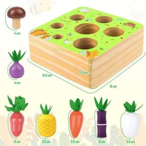 img 2 attached to 🍎 CENOVE Montessori Wooden Toys for 1 2 3 Year Old Boys and Girls, STEM Educational Toys Shape Sorter Puzzle, Includes a Harvest of 7 Sized Vegetables and Fruits, Perfect Toddlers Wooden Toy Gift Set