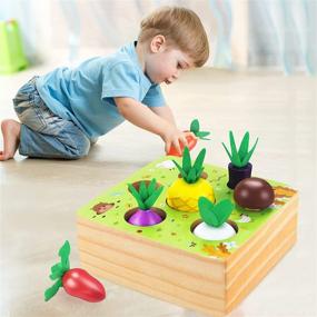 img 4 attached to 🍎 CENOVE Montessori Wooden Toys for 1 2 3 Year Old Boys and Girls, STEM Educational Toys Shape Sorter Puzzle, Includes a Harvest of 7 Sized Vegetables and Fruits, Perfect Toddlers Wooden Toy Gift Set