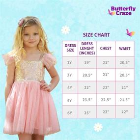 img 1 attached to 🦋 Ballerina Party Princess Dress: Butterfly Craze Birthday Dress for Little Girls