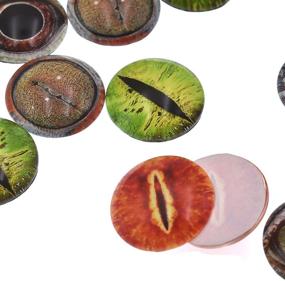 img 2 attached to High-Quality 10 Pairs 30mm Glow in the Dark Glass Dinosaur Eyes Round Dome Glass Cabochons Flatback for DIY Craft Clay Animal Lizard Eyes