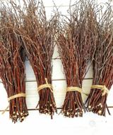 ecowooddecor birch twig set: 200pcs. 100% natural birch twigs for crafts & centerpieces - includes 4 bundles for diy vase & wedding decorations logo