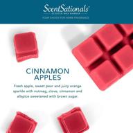 scentsationals cinnamon apples scented cubes logo