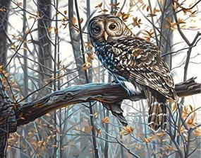 img 1 attached to 🎨 Premium Paint by Numbers Kit for Adults - Wise Owl Design, 14" W x 11" L
