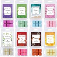 iwax scented wax melts: 8 assorted soy wax cubes/tarts (3 oz) - lavender, ocean, vanilla, magnolia, coffee, jasmine, mango, fig logo