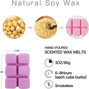 img 2 attached to Iwax Scented Wax Melts: 8 Assorted Soy Wax Cubes/Tarts (3 oz) - Lavender, Ocean, Vanilla, Magnolia, Coffee, Jasmine, Mango, Fig