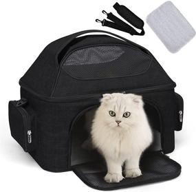 img 4 attached to BAGLHER Carrier Airline Approved Foldable Carrier Black