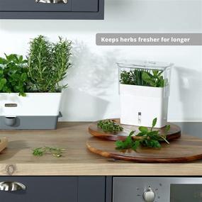 img 2 attached to 🌿 COLE & MASON Fresh Herb Keeper: Efficient Container for Preserving Clear-Cut Herbs