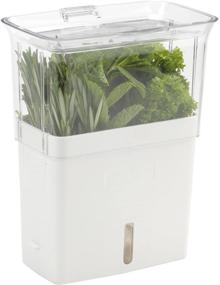 img 4 attached to 🌿 COLE & MASON Fresh Herb Keeper: Efficient Container for Preserving Clear-Cut Herbs