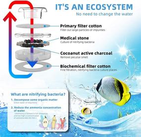 img 2 attached to ECOCONUT Фильтр для аквариума, галлон