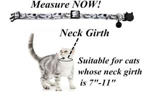 img 1 attached to BoomBone Halloween Collar Pack Kitten