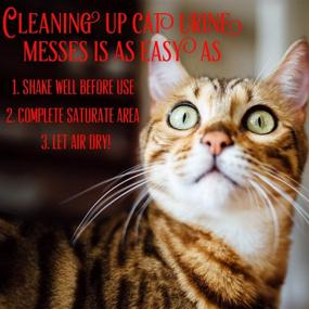 img 1 attached to 🐈 Stink Free Instantly Cat Urine Odor Remover: Powerful Oxidizer Based Pee Cleaner Solution & Deodorizer for Carpets, Rugs, Mattresses & More! 2-128 oz Gallons