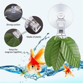 img 2 attached to 🐠 Optimized Aquarium Fish Tank Accessories: Jetec 8 Pieces Fish Seaweed Clip Plant Suction Cup with Feed Holder Clip