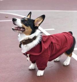 img 1 attached to 🐶 Ellie's Versatile Adventure Zip Up Maroon Red Dog Hoodie: Stylish & Comfortable with Hook & Loop Pockets, Adjustable Drawstring Hood – Sizes XS to XL