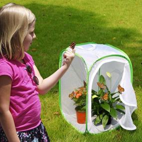 img 3 attached to Enhance Your Butterfly Experience with RESTCLOUD Butterfly Habitat Terrarium Polyester