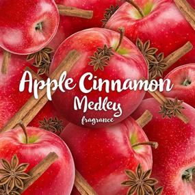 img 3 attached to 🍎 Air Wick Apple Cinnamon Medley Plug in Scented Oil, 5 Refills, 3.38 oz" translated into Russian would be: 🍎 Air Wick набор ароматических масел для электроодушки с яблоком и корицей, 5 заправок, 3,38 унции.