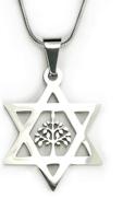 🌳 18-inch chain star of david and tree of life necklace: pure 304 non-tarnishing stainless, shield of david pendant with etz chaim logo