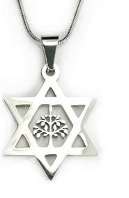 img 4 attached to 🌳 18-Inch Chain Star of David and Tree of Life Necklace: Pure 304 Non-Tarnishing Stainless, Shield of David pendant with Etz Chaim