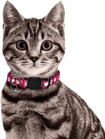 img 1 attached to 🐱 Enhanced Reflective Cat Collar: Set of 6 Safe & Stylish Breakaway Collars, Black Blue Red Orange Green Pink, with Bell - Paw Heart Design