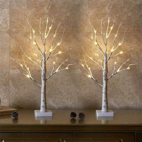 img 4 attached to 🌳 Elegant Set of 2- EAMBRITE 2FT 24LT Warm White LED Birch Tree Light with Timer: Perfect Tabletop Bonsai Tree Light, Jewelry Holder Decor for Home, Party, Wedding, Holiday