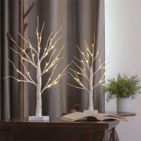 img 2 attached to 🌳 Elegant Set of 2- EAMBRITE 2FT 24LT Warm White LED Birch Tree Light with Timer: Perfect Tabletop Bonsai Tree Light, Jewelry Holder Decor for Home, Party, Wedding, Holiday