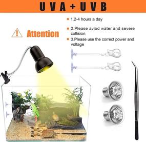 img 1 attached to 🐢 AquariumBasics Reptile Heat Lamp Light: Enhance Habitat with UVA UVB, Ideal for Turtles, Tortoise, Lizards, and Snakes – Includes Two 25W Bulbs, 2 Clips, 1 Tweezer