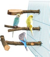 🐦 3 pack apple wood bird perch stands for cage - natural wooden parrot perches for exercise, paw grinding, climbing toy - playground accessories for parakeet, conure, cockatiel, budgie, lovebirds logo