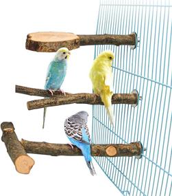 img 4 attached to 🐦 3 Pack Apple Wood Bird Perch Stands for Cage - Natural Wooden Parrot Perches for Exercise, Paw Grinding, Climbing Toy - Playground Accessories for Parakeet, Conure, Cockatiel, Budgie, Lovebirds