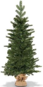 img 3 attached to 🎄 3ft Prelit Christmas Tree by Goplus - Battery Operated Spruce Fir Tree with Timer Function, 50 LED Lights, 363 Tips, Solid Cement Base - Tabletop Decorations Full Tree