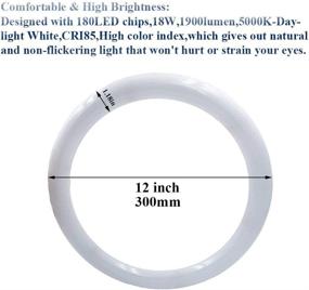 img 2 attached to 💡 Circline Circular Fluorescent Replacement - 5000K Inch