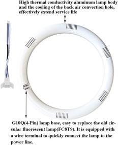 img 1 attached to 💡 Circline Circular Fluorescent Replacement - 5000K Inch