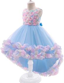 img 1 attached to 👗 High Low Applique Embroidered Girls' Dresses with Shimmering Toddler Style