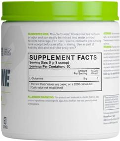 img 1 attached to 💪 MusclePharm Essentials Glutamine Powder, L-Glutamine, Unflavored, 60 Servings - Enhanced for SEO