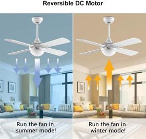 img 2 attached to 🔌 Ovlaim Modern 48 Inch DC Motor Ceiling Fan with Dimmable LED Light, Remote Control, and 4 Wood White Blades